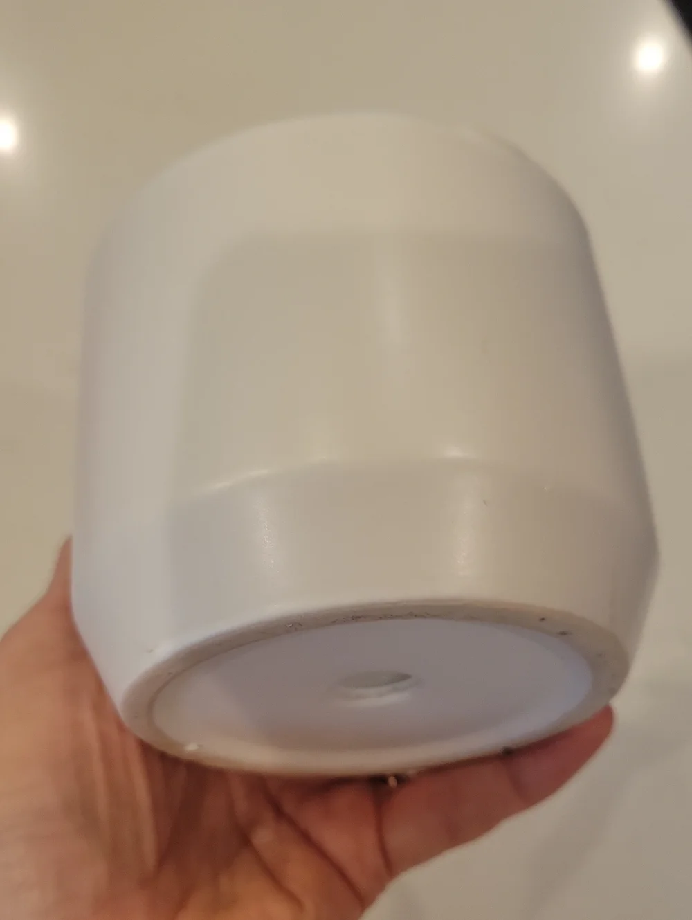 Pottery Barn Pot With Stand